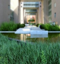 fitodepurazione berlino